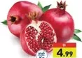 Pomegranate Red Egypt