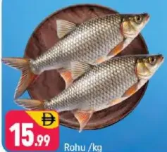 Rohu
