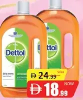 Dettol Antiseptic Antibacterial Disinfectant Liquid