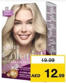 Q1 طقم صبغة شعر متنوع master colorist