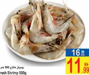 Fresh Shrimp