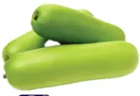 قرع طويل