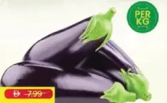 باذنجان كبير
