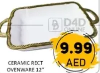 Ceramic Rect Ovenware