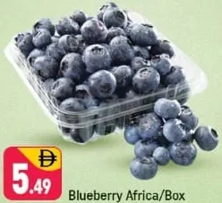 Blueberry Africa