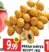 Fresh Dates Egypt