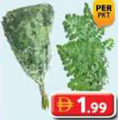Drumstick Leaves