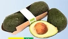 Avocado
