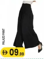 Palazo Pant
