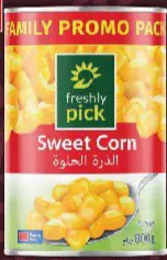 freshly pick Sweet Corn XXL