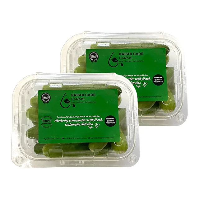 Kibsons Snack Cucumbers