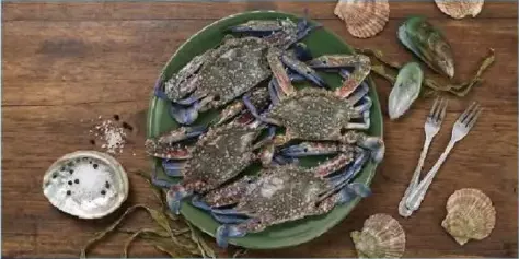 Crab