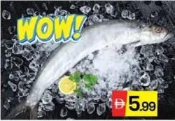 Ribbon Fish (Mullu Vala)