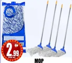 Mop With Stick