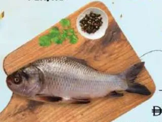 Katla Fish