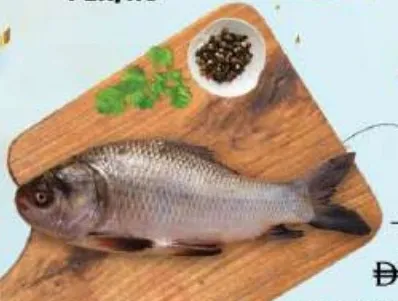 Katla Fish