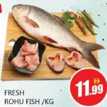 Fresh Rohu Fish