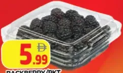 BACKBERRY
