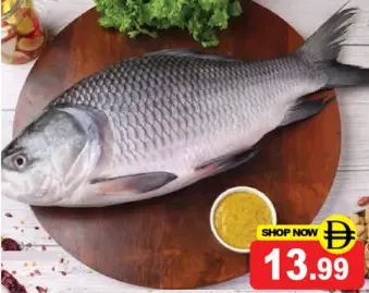 Rahu Fish