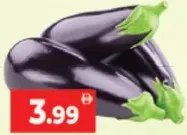 Egg Plant Large