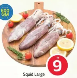 Squid Large