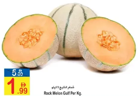 Rock Melon Gulf