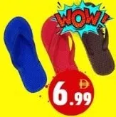 Indian Slipper