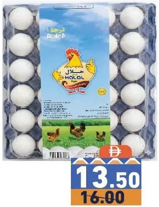 Halal Eggs