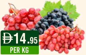 Grapes Red Seedless/Black/Globe Lebanon