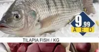 Tilapia Fish