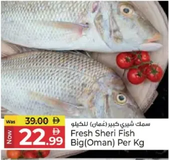 Fresh Sheri Fish Big(Oman)