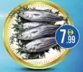 Tuna