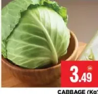 Cabbage