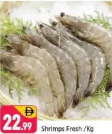 Shrimps Fresh