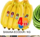 Banana Ecuador