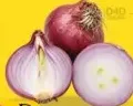Onion India