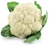 زهرة