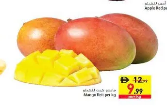 مانجو كيت