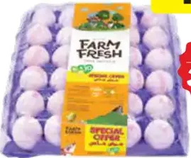 Farm Fresh White Eggs Medium