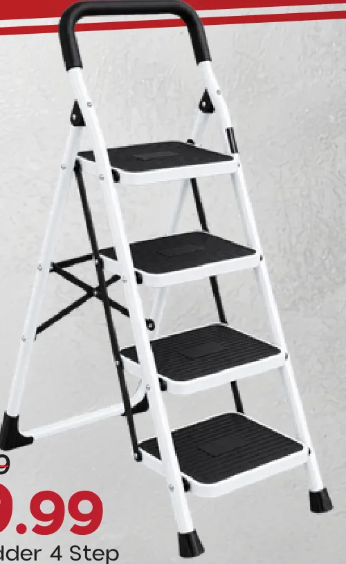 Steel Ladder