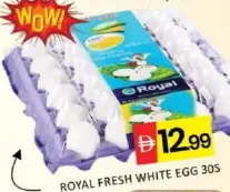 Royal Fresh White Egg