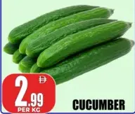 Cucumber