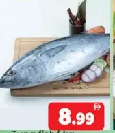 Tuna Fish