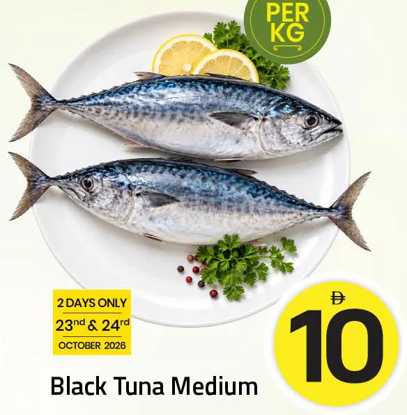 Black Tuna Medium