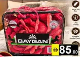 Baygan Double Blanket 2Ply