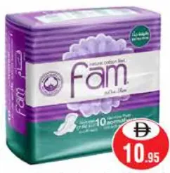 Fam Sanitary Pasd Normal With Wings