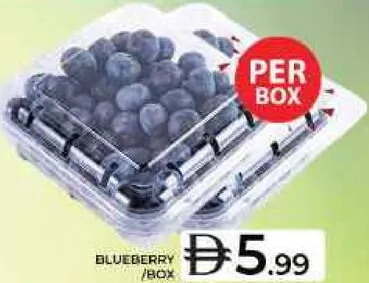 Blueberry