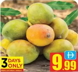 Mango Egypt