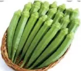 Lady Finger