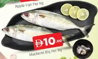 Mackerel Big